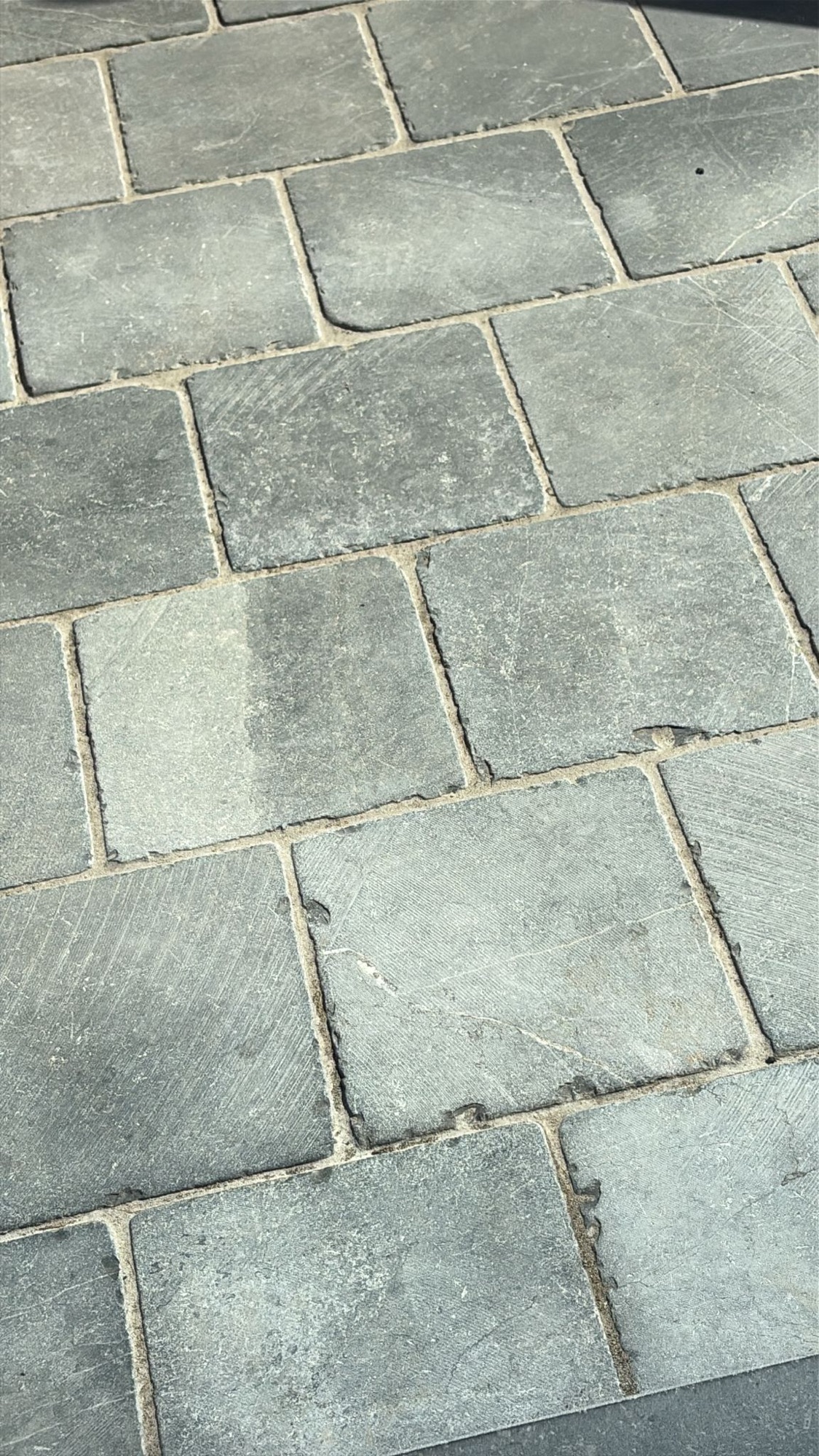 Terras Dendermonde